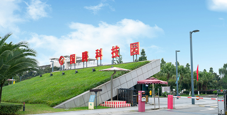 新闻详情